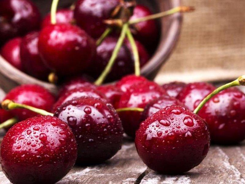 Вишня купить саженцы из питомника в Назрани
